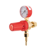 Jednostopniowy regulator propanu/gazu ziemnego SR433